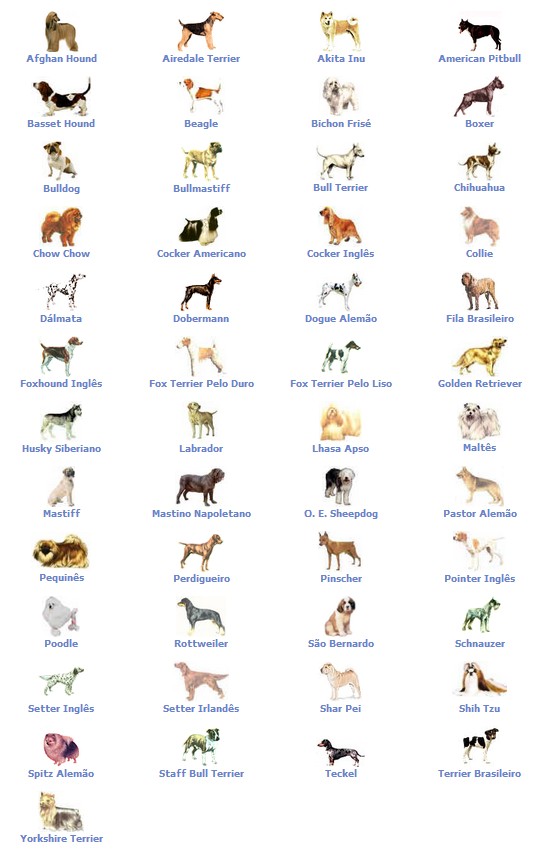 raças de cães