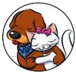 Remoção e Cremação de Animais Mortos