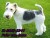 fox terrier pelo duro1113,