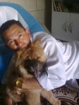 Vendo filhote cachorro chauchau