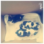 Beagles