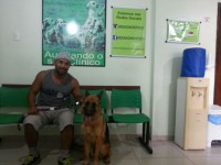 Adestramento – passeio – hospedagem – pulverizaçao