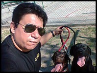 Adestramento de cães