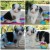 filhote-border-collie-fmea-blue-merle-pedigree-cbkc-21708-MLB20216865072_122014-F