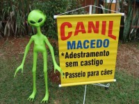 Adestramento de cães RJ