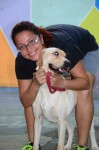 Passeio com cães