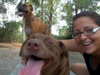 Passeio com cães