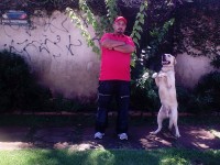 Adestrador de Cães Daniel Sobrosa