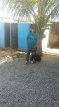 Adestrador de Cães Daniel Sobrosa