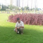 Adestrador de Cães Daniel Sobrosa