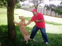 Adestrador de Cães Daniel Sobrosa