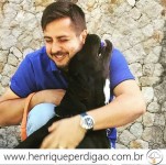 Adestramento de Cães em Domicílio no Rio de Janeiro