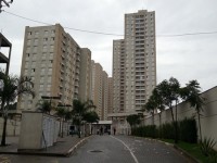 Compra de filhote Pomski