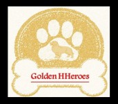 Venda de Filhotes Golden