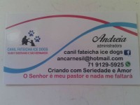 São Bernardo Promoção de Natal