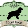 Avatar de canilefrain