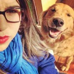 Golden Retriever – Filhotes