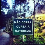 Gostaria de adotar um pug ou buldogue francês ou inglês