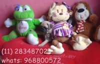 Pug fêmea e macho promoção
