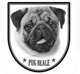 Pug Filhotes – Canil Pug Reale