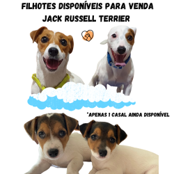 Ultimo casal JRT